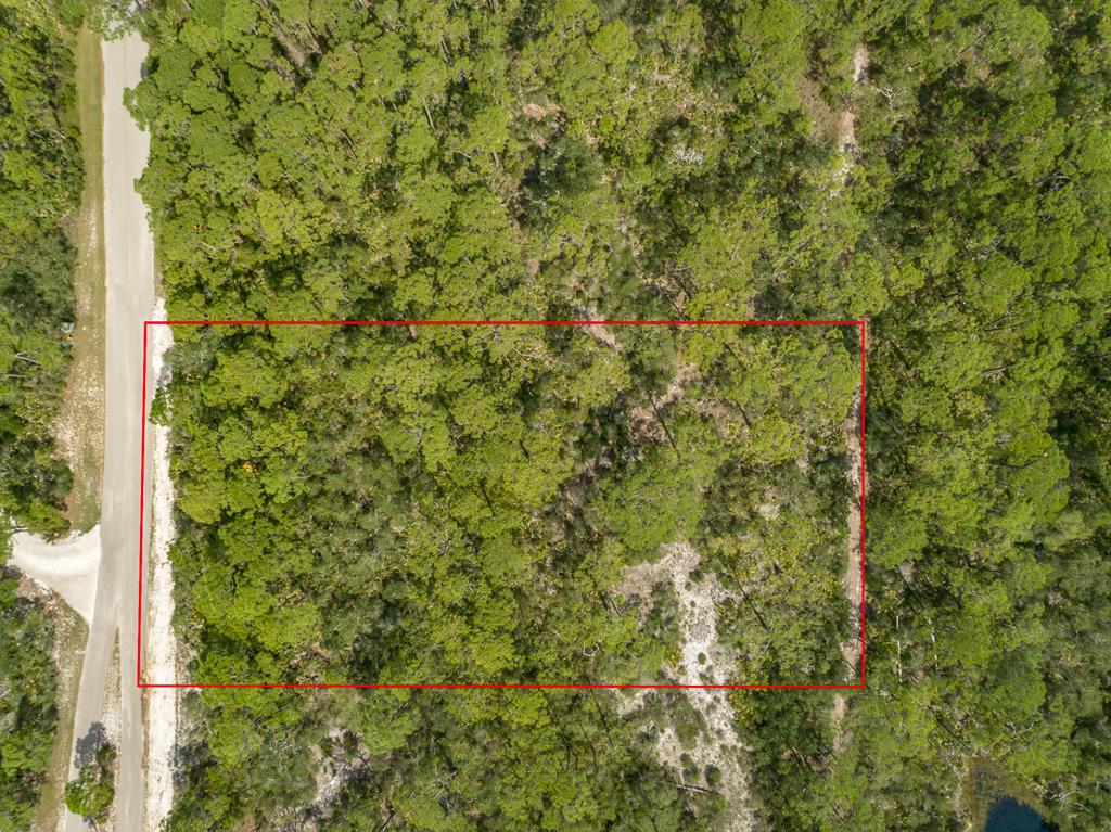 1704 Jasmine Way St. George Island, FL 32328 - Photo 18 of 34