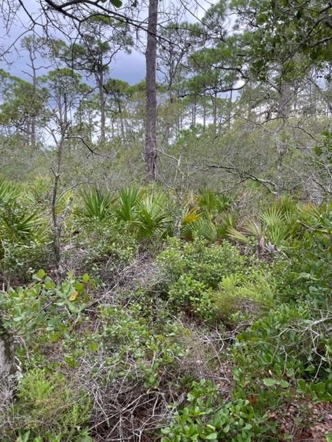 1704 Jasmine Way St. George Island, FL 32328 - Photo 20 of 34