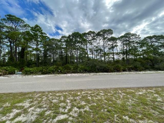 1704 Jasmine Way St. George Island, FL 32328 - Photo 2 of 34