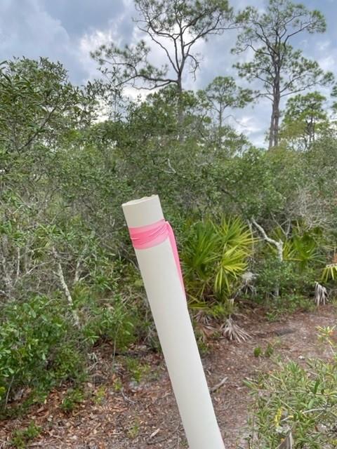 1704 Jasmine Way St. George Island, FL 32328 - Photo 21 of 34
