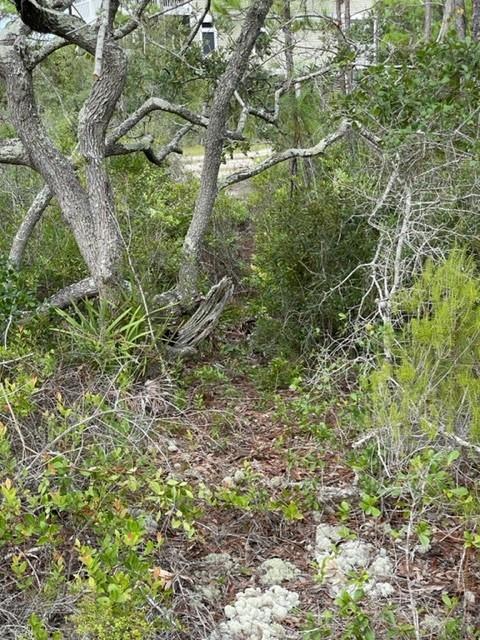 1704 Jasmine Way St. George Island, FL 32328 - Photo 22 of 34