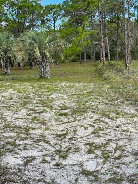 1704 Jasmine Way St. George Island, FL 32328 - Photo 29 of 34