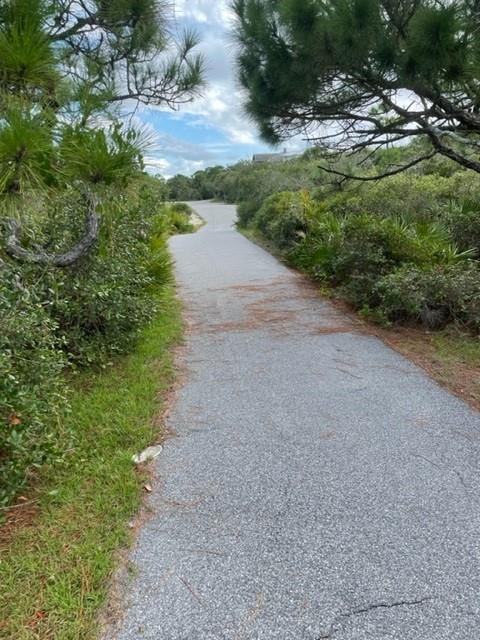 1704 Jasmine Way St. George Island, FL 32328 - Photo 30 of 34