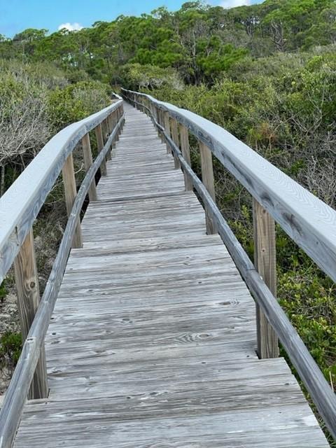 1704 Jasmine Way St. George Island, FL 32328 - Photo 33 of 34