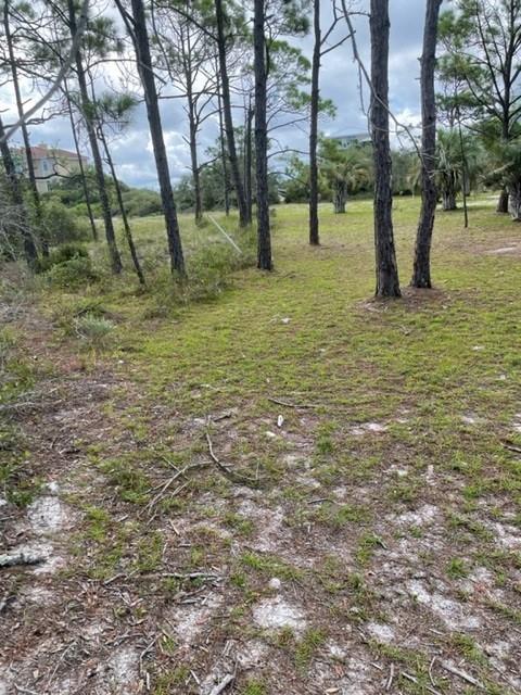 1704 Jasmine Way St. George Island, FL 32328 - Photo 8 of 34