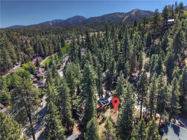 a view of a forest with a mountain