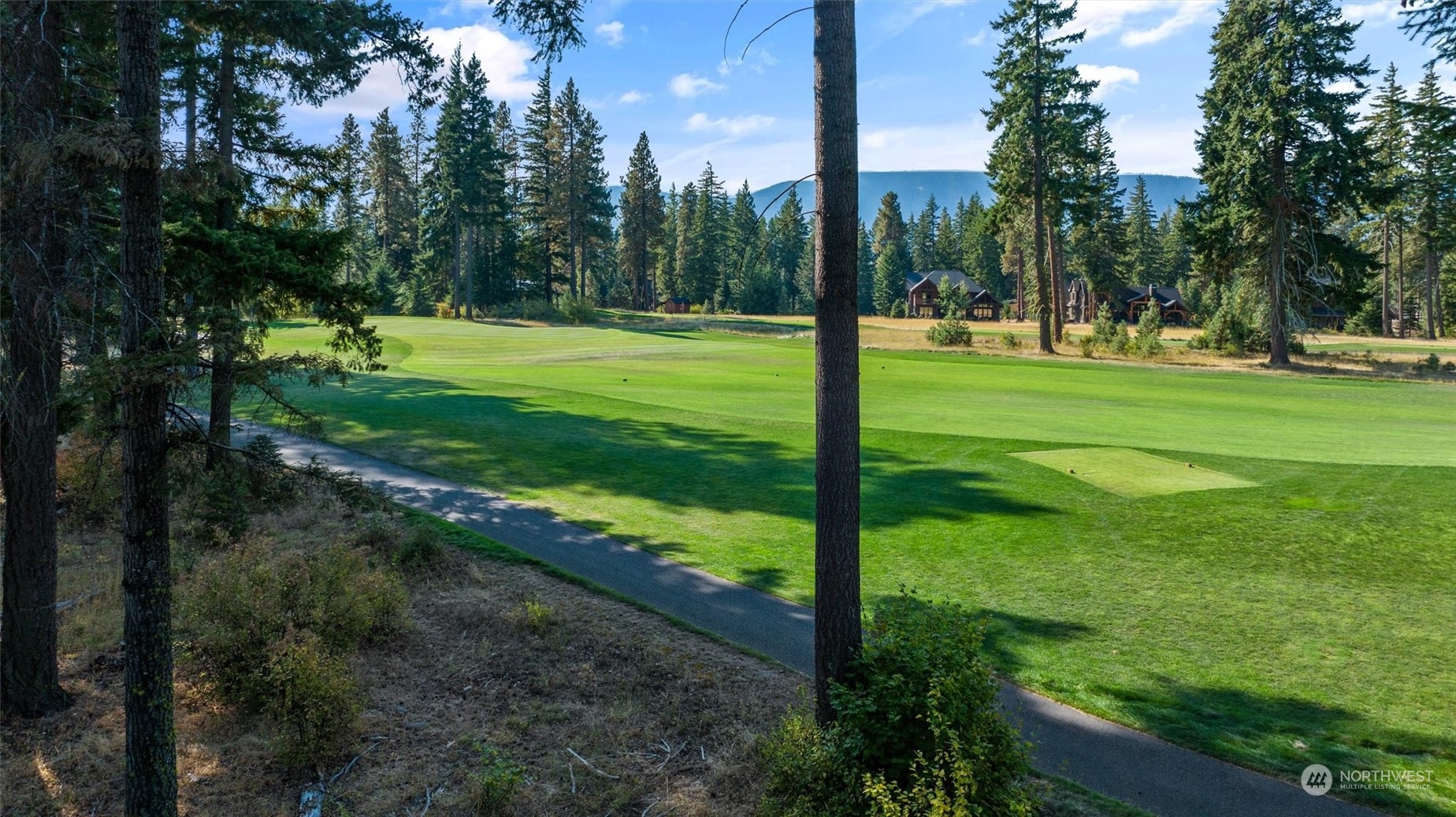 a view of a park with large trees