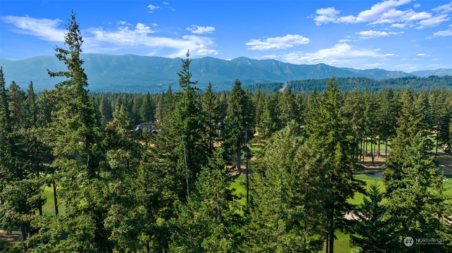 610 Spragger Way Cle Elum, WA 98922 - Photo 12 of 17 a view of a city with lush green forest