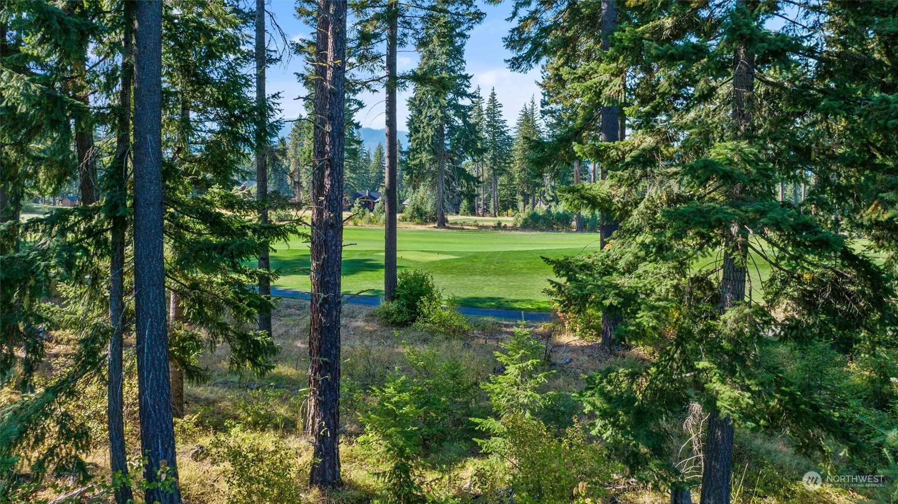 610 Spragger Way Cle Elum, WA 98922 - Photo 2 of 17 a view of outdoor space and yard