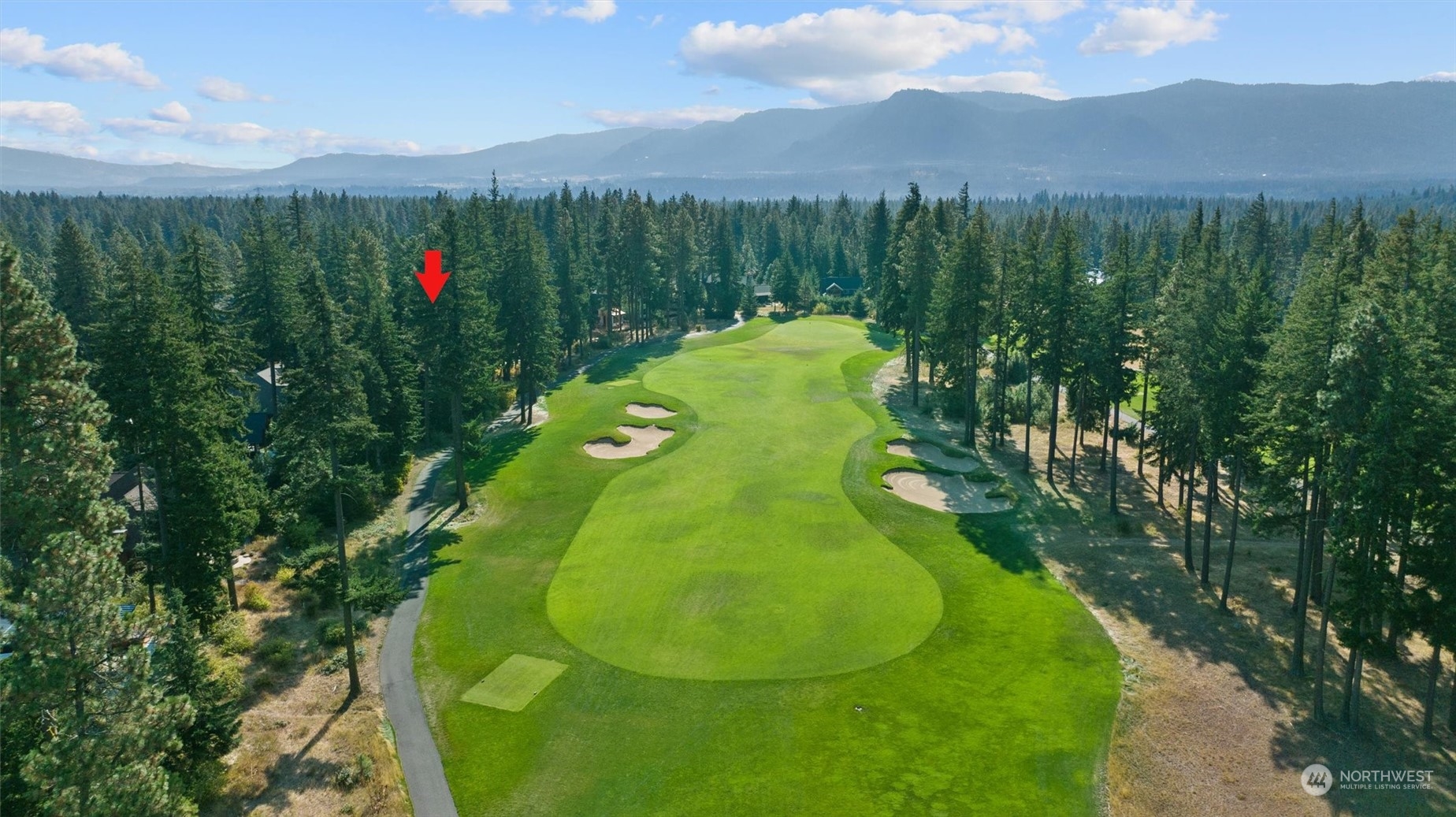 610 Spragger Way Cle Elum, WA 98922 - Photo 5 of 17 a view of a swimming pool with a yard and large trees