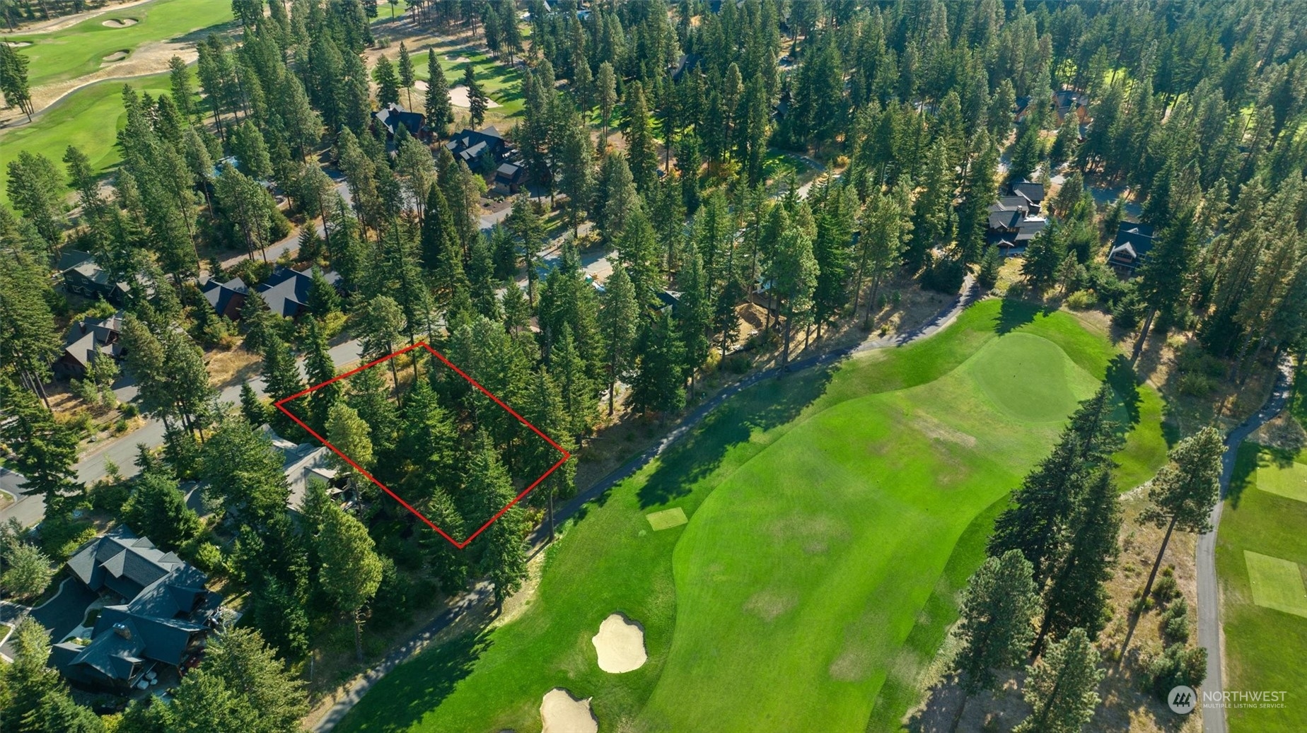 610 Spragger Way Cle Elum, WA 98922 - Photo 7 of 17 a lush green forest with lots of trees