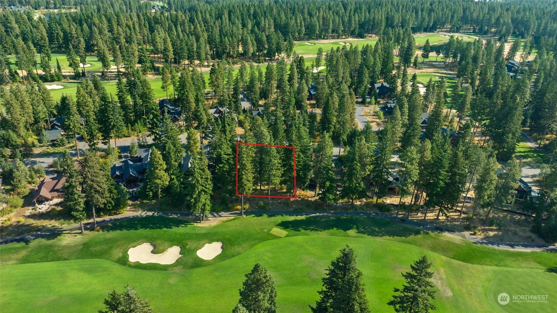 610 Spragger Way Cle Elum, WA 98922 - Photo 10 of 17 a view of a green field with lots of trees