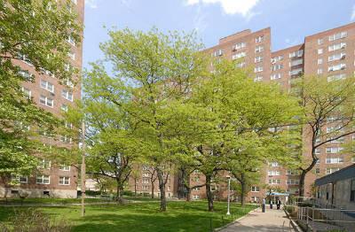 a view of a city with tall buildings