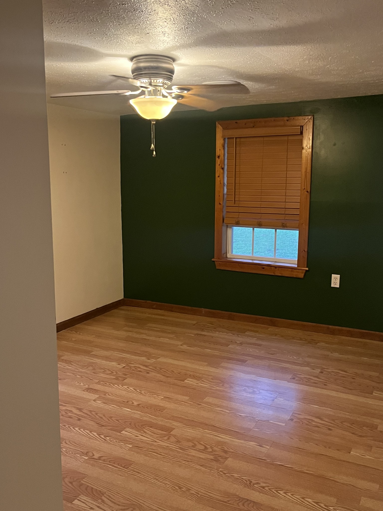 535 Gladeville Road Mount Juliet, TN 37122 - Photo 5 of 24 a view of an empty room with wooden floor and a window