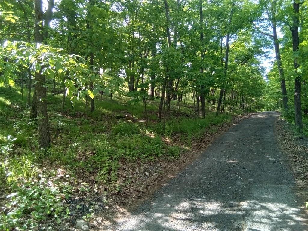 a big yard with lots of green space and trees