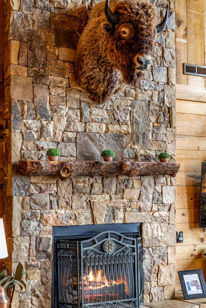 585 Genessee Path Blue Ridge, GA 30513 - Photo 16 of 80