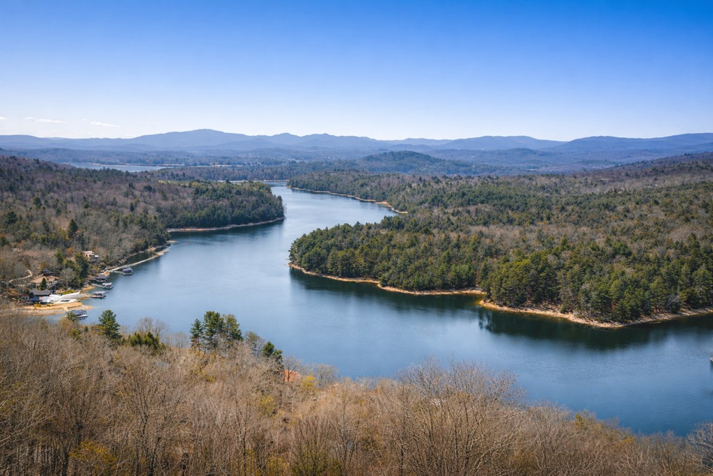 585 Genessee Path Blue Ridge, GA 30513 - Photo 7 of 80