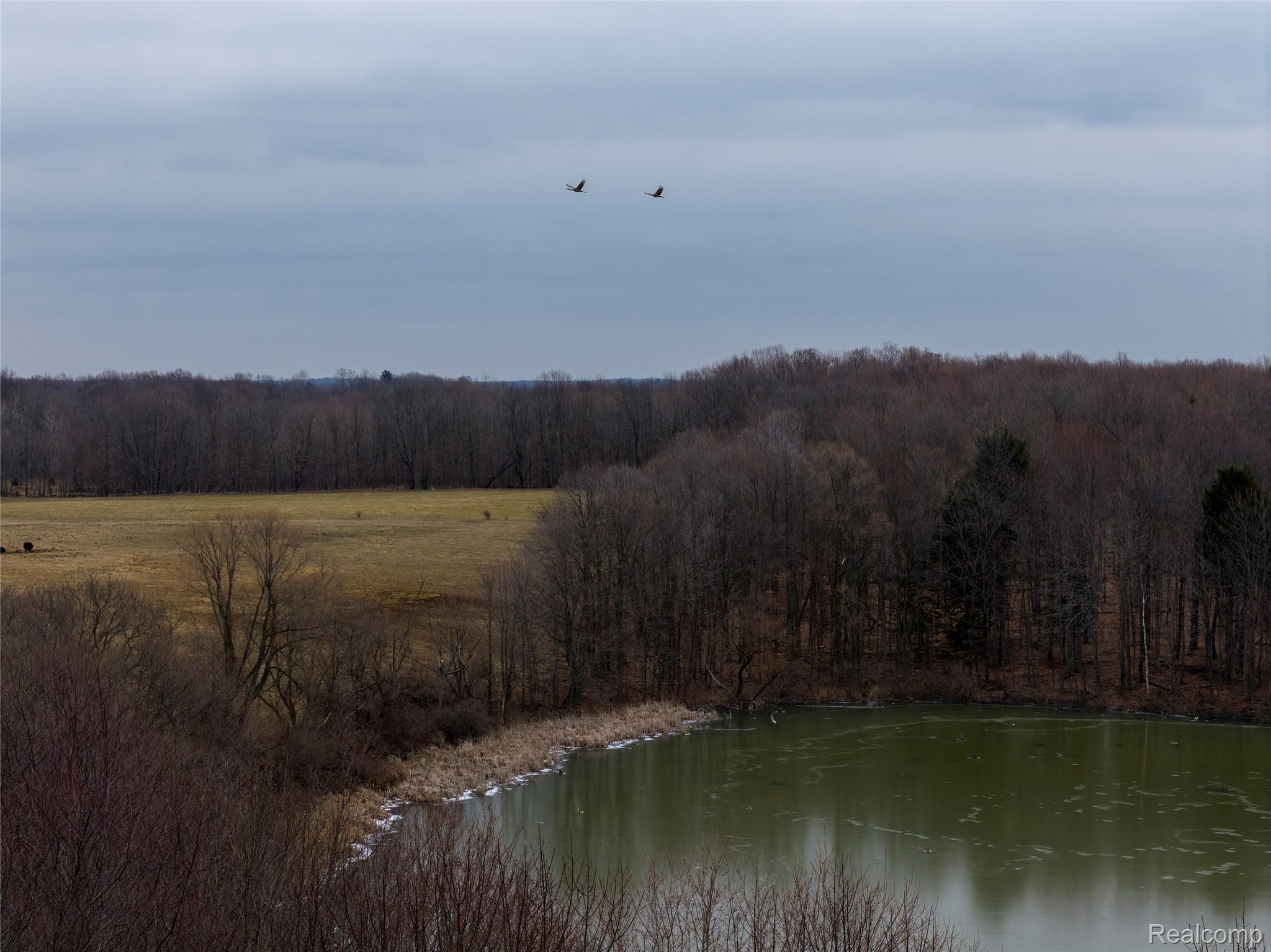 0 Shay Lake Road Kingston, MI 48741 - Photo 5 of 21 5.jpg