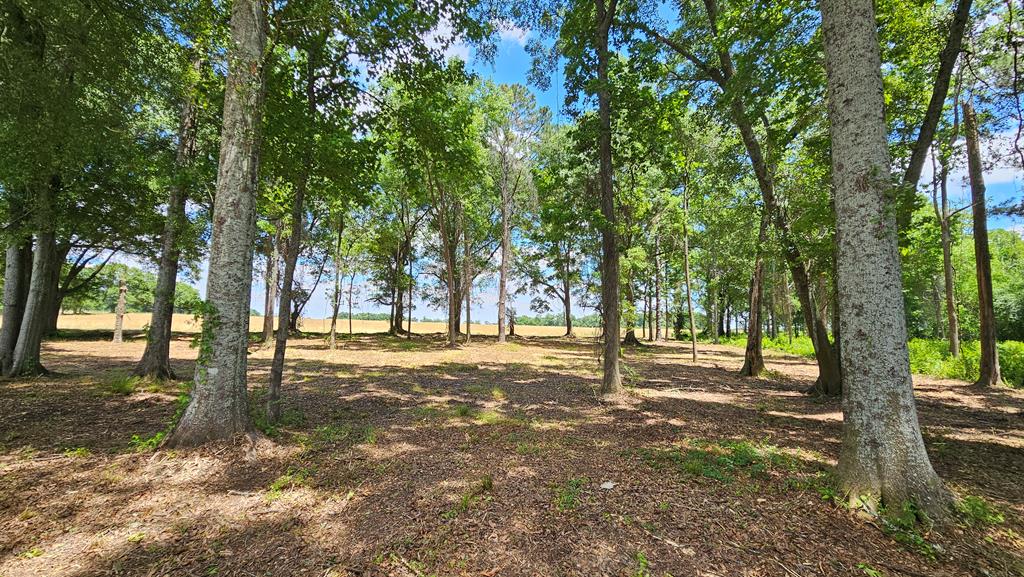92 County Road 92 Slocomb, AL 36375 - Photo 57 of 58