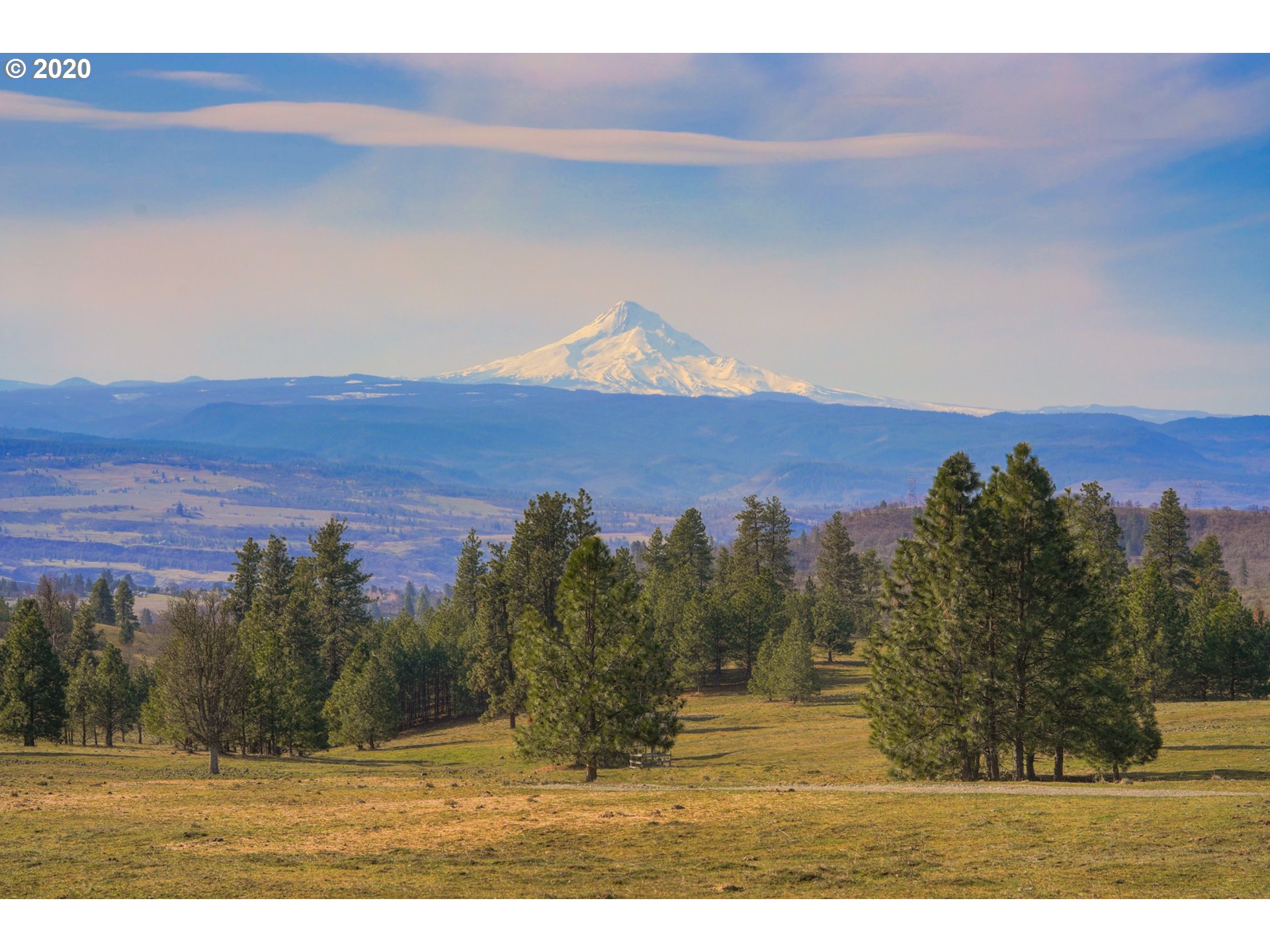 46 Silva Ridge Road Lyle, WA 98635 - Photo 25 of 31 Gallery Image 25