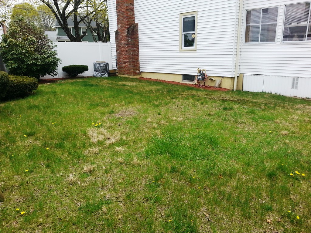 32 Dianne Road Medford, MA 02155 - Photo 26 of 27 Gallery Image 26