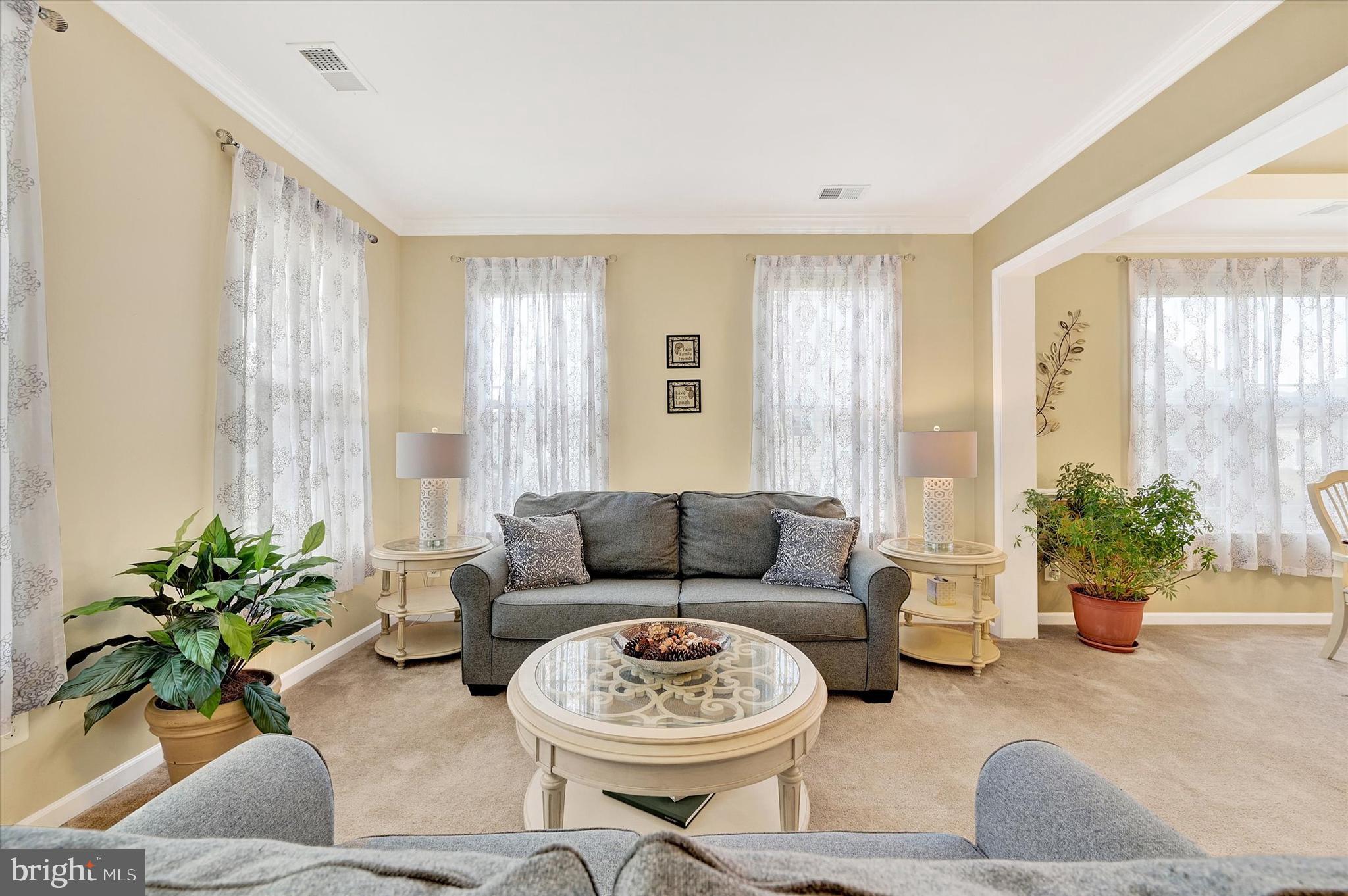 48 Canvasback Circle Bridgeville, DE 19933 - Photo 5 of 44 a living room with furniture and a potted plant