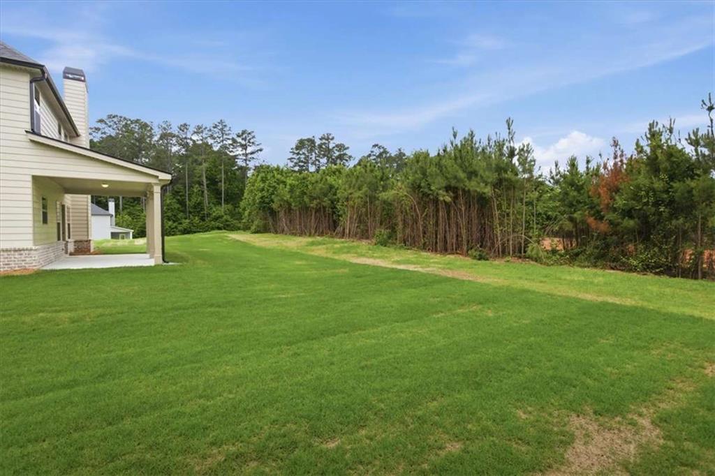 4619 Rex Road Stockbridge, GA 30281 - Photo 43 of 45
