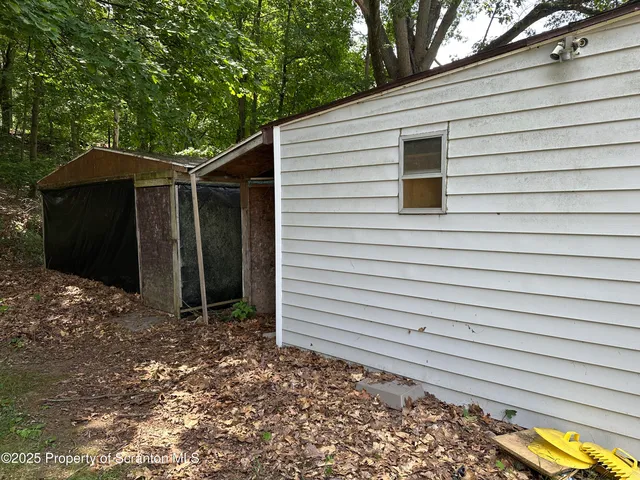 a backyard that has potted plants and a large tree