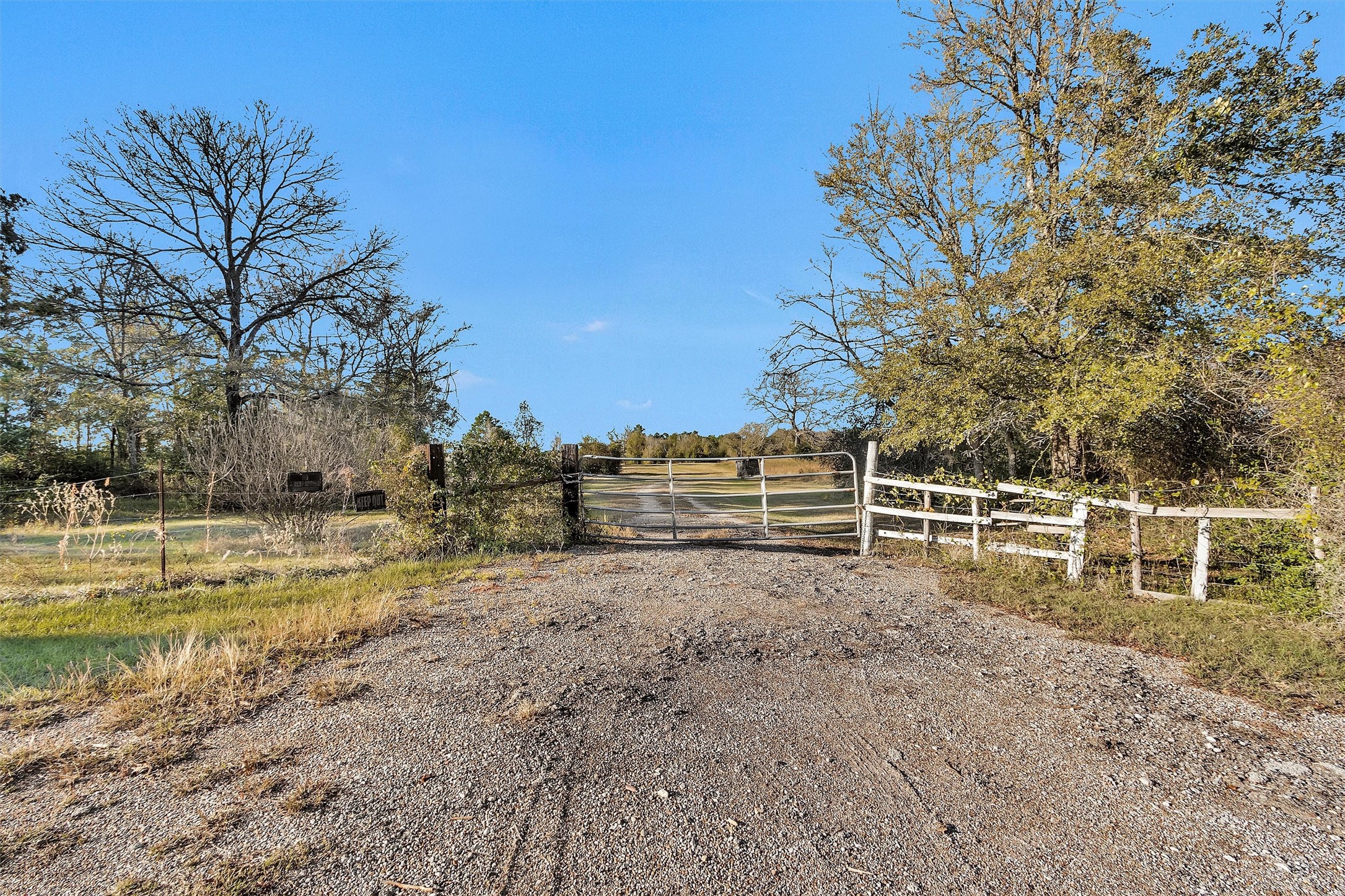 a view of a backyard with wooden fence and large trees