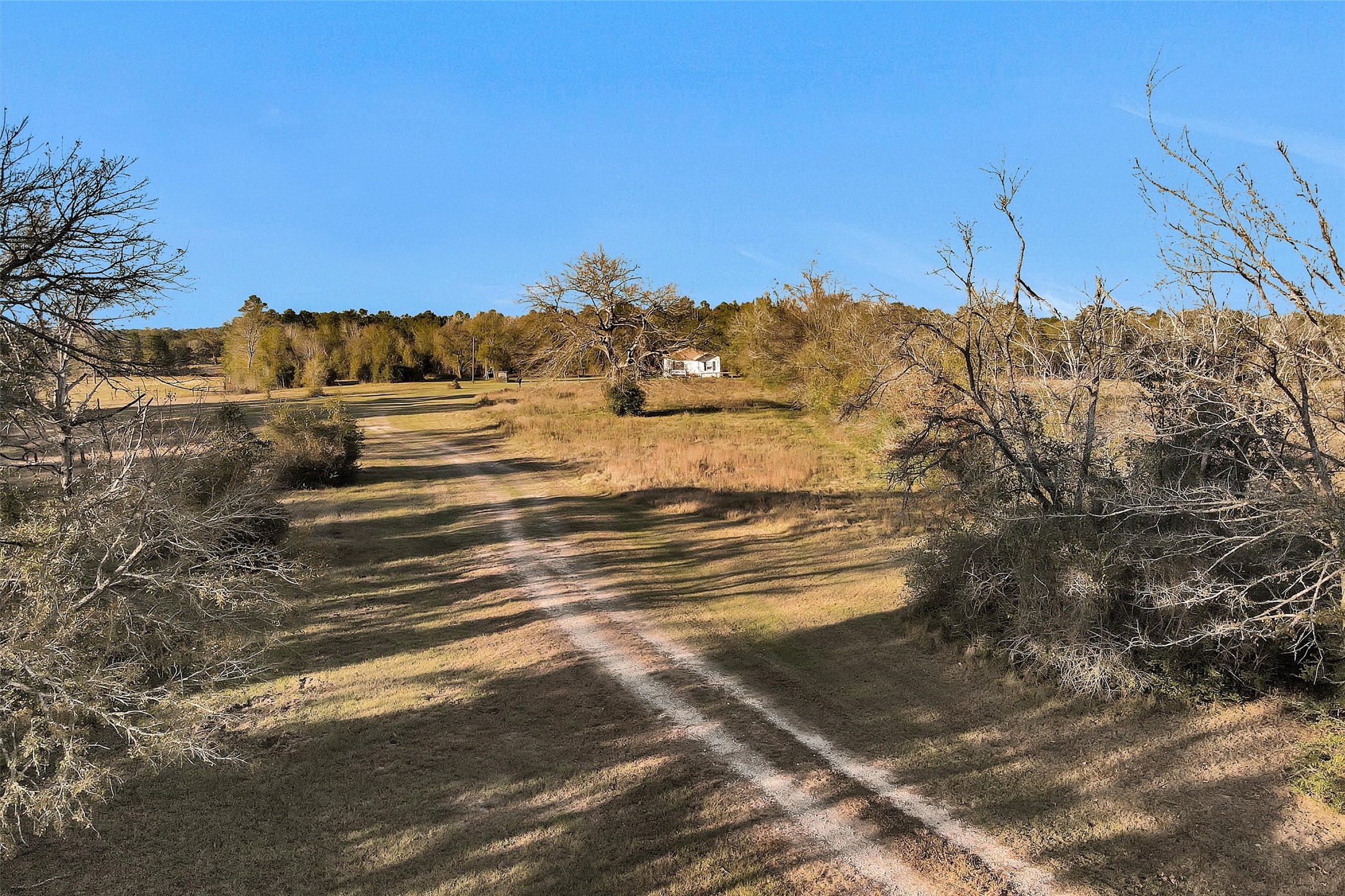 70 Mutt Young Road Huntsville, TX 77320 - Photo 13 of 35 a view of ocean view