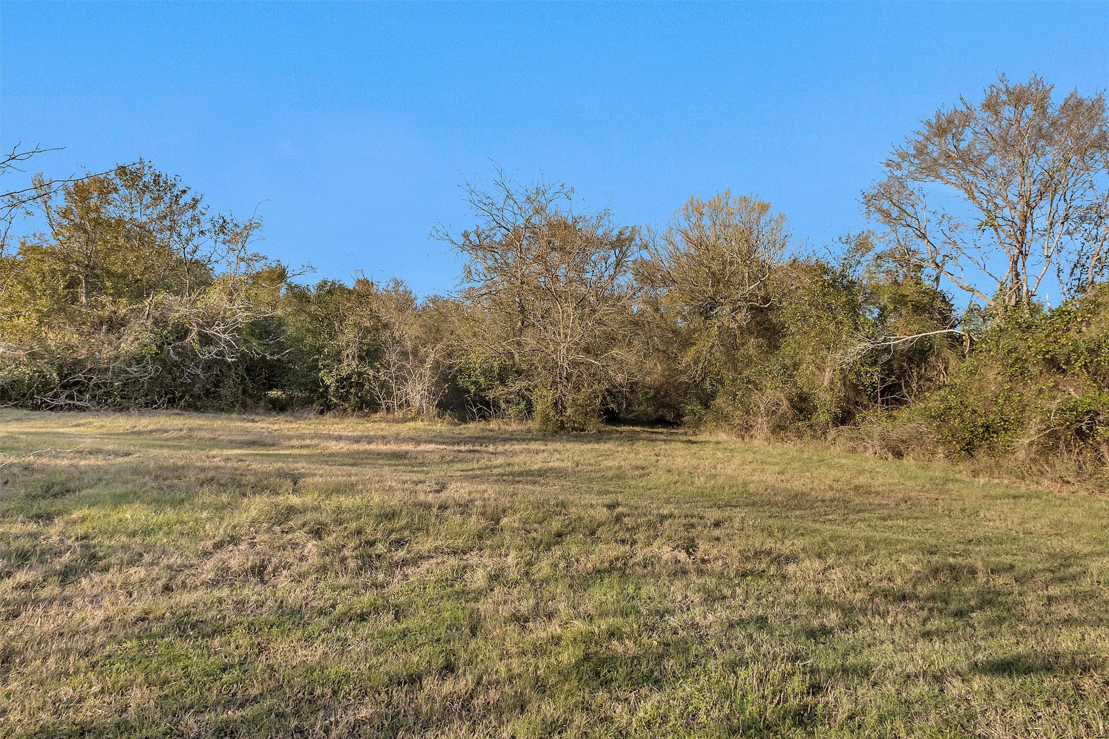 70 Mutt Young Road Huntsville, TX 77320 - Photo 2 of 35 a view of big yard with large trees