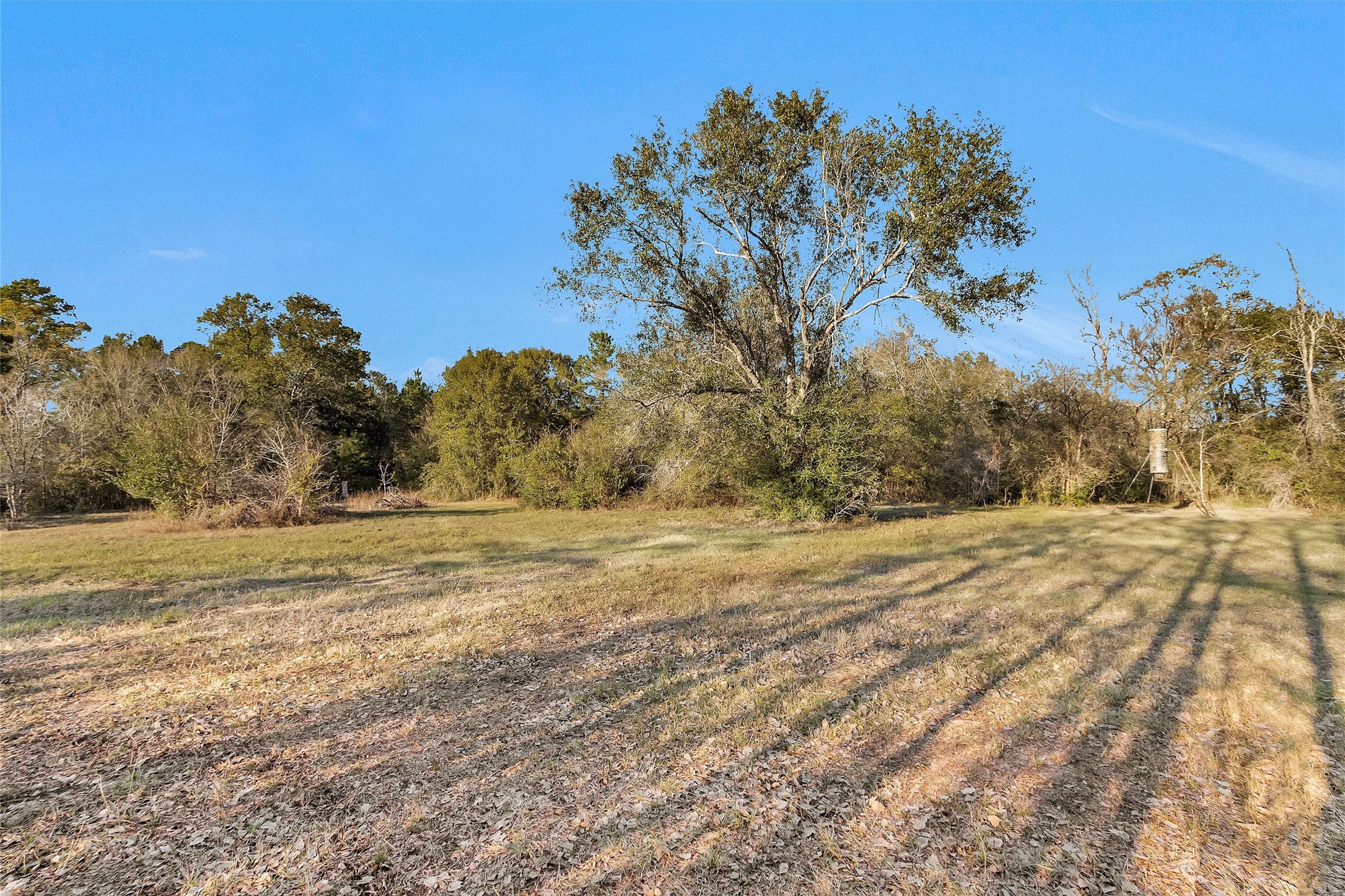 70 Mutt Young Road Huntsville, TX 77320 - Photo 4 of 35 a view of beach and yard