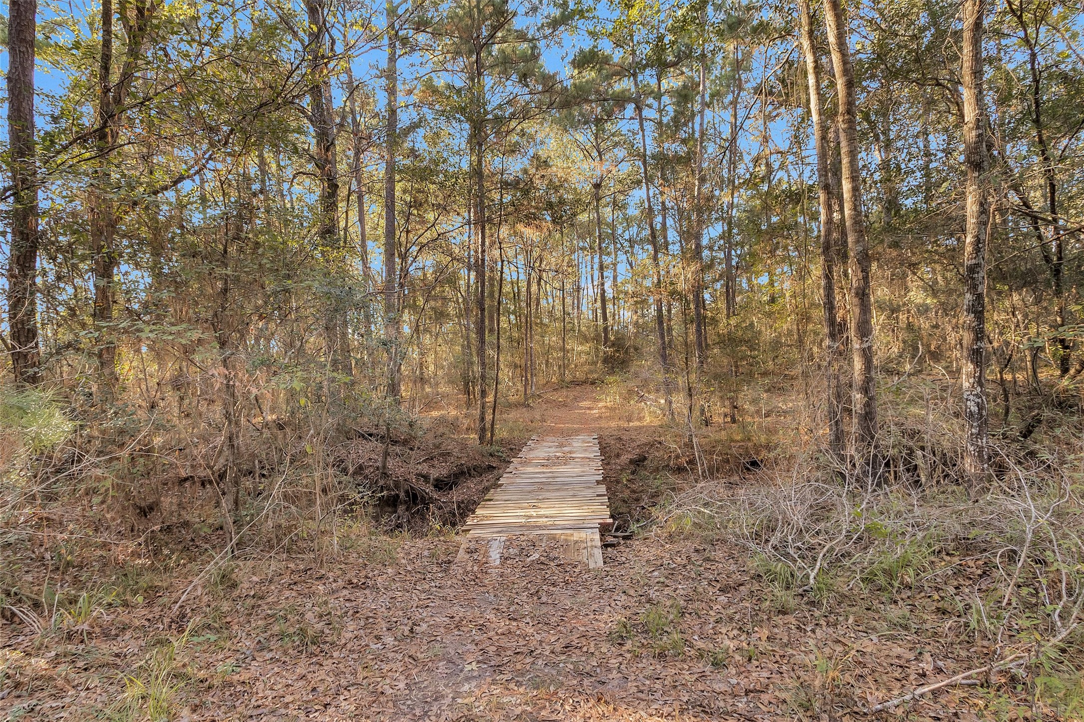 70 Mutt Young Road Huntsville, TX 77320 - Photo 6 of 35 a bathroom with a shower