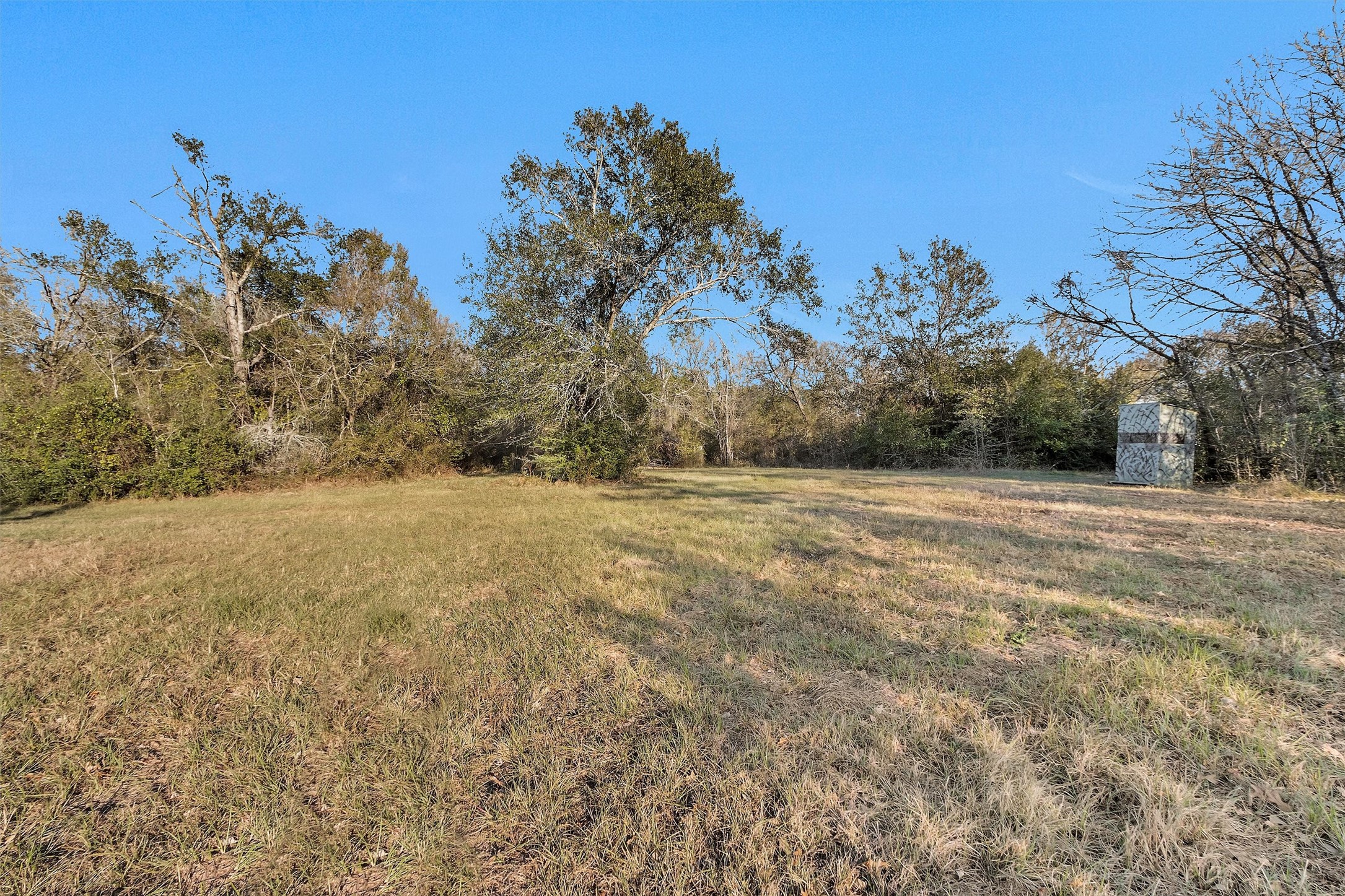 70 Mutt Young Road Huntsville, TX 77320 - Photo 9 of 35 a view of outdoor space with yard