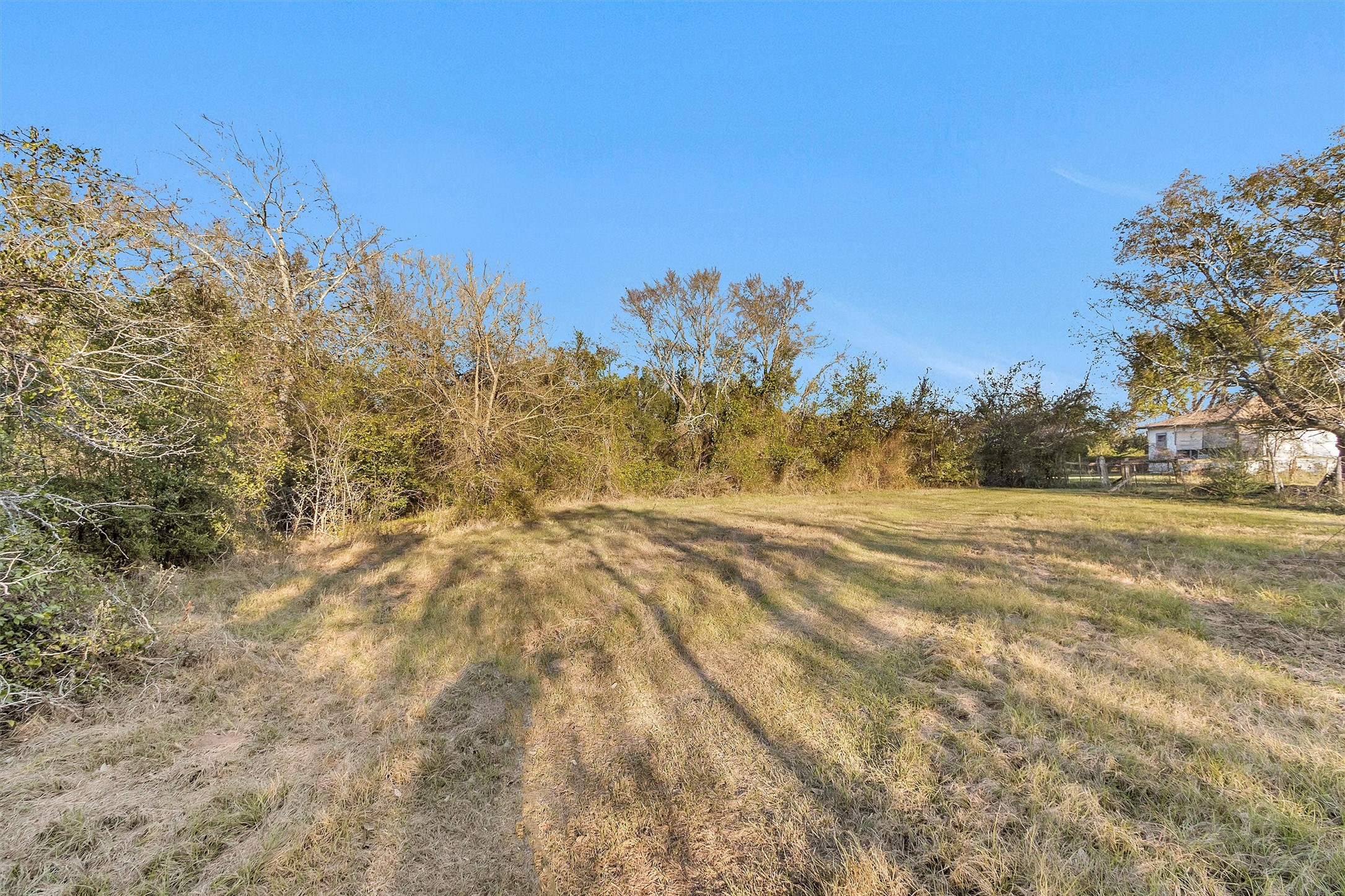70 Mutt Young Road Huntsville, TX 77320 - Photo 10 of 35 a view of mountain view with trees