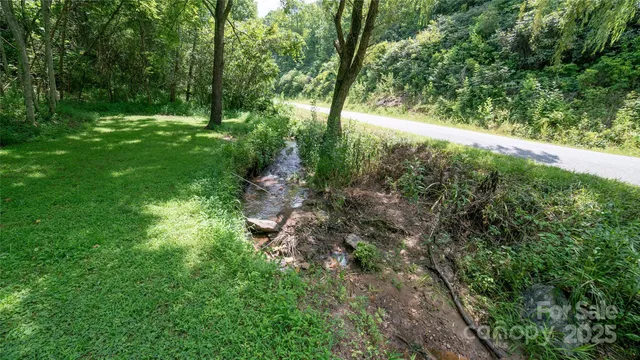 a view of a lush green forest