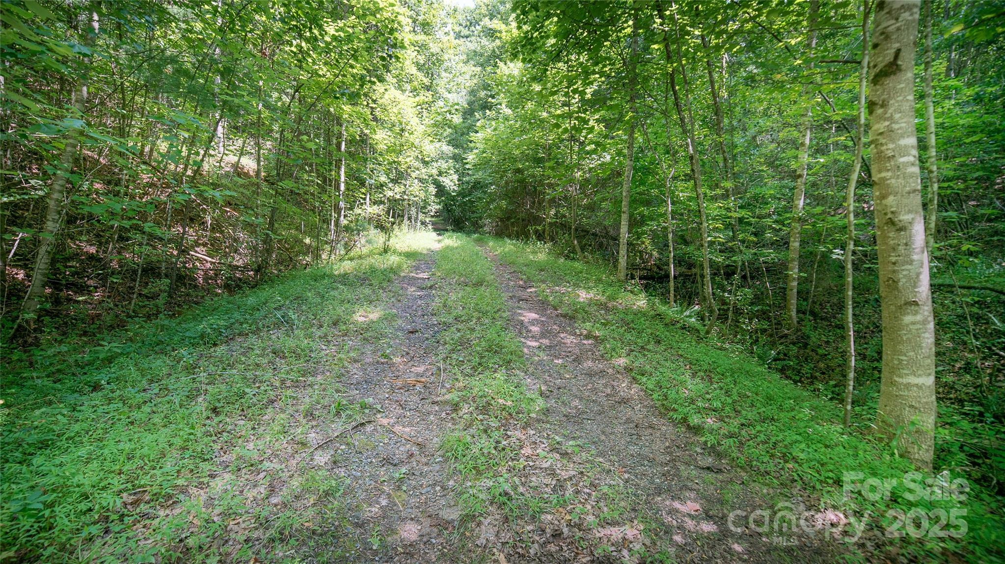 0 Dave Chester Road Lenoir, NC 28645 - Photo 3 of 12