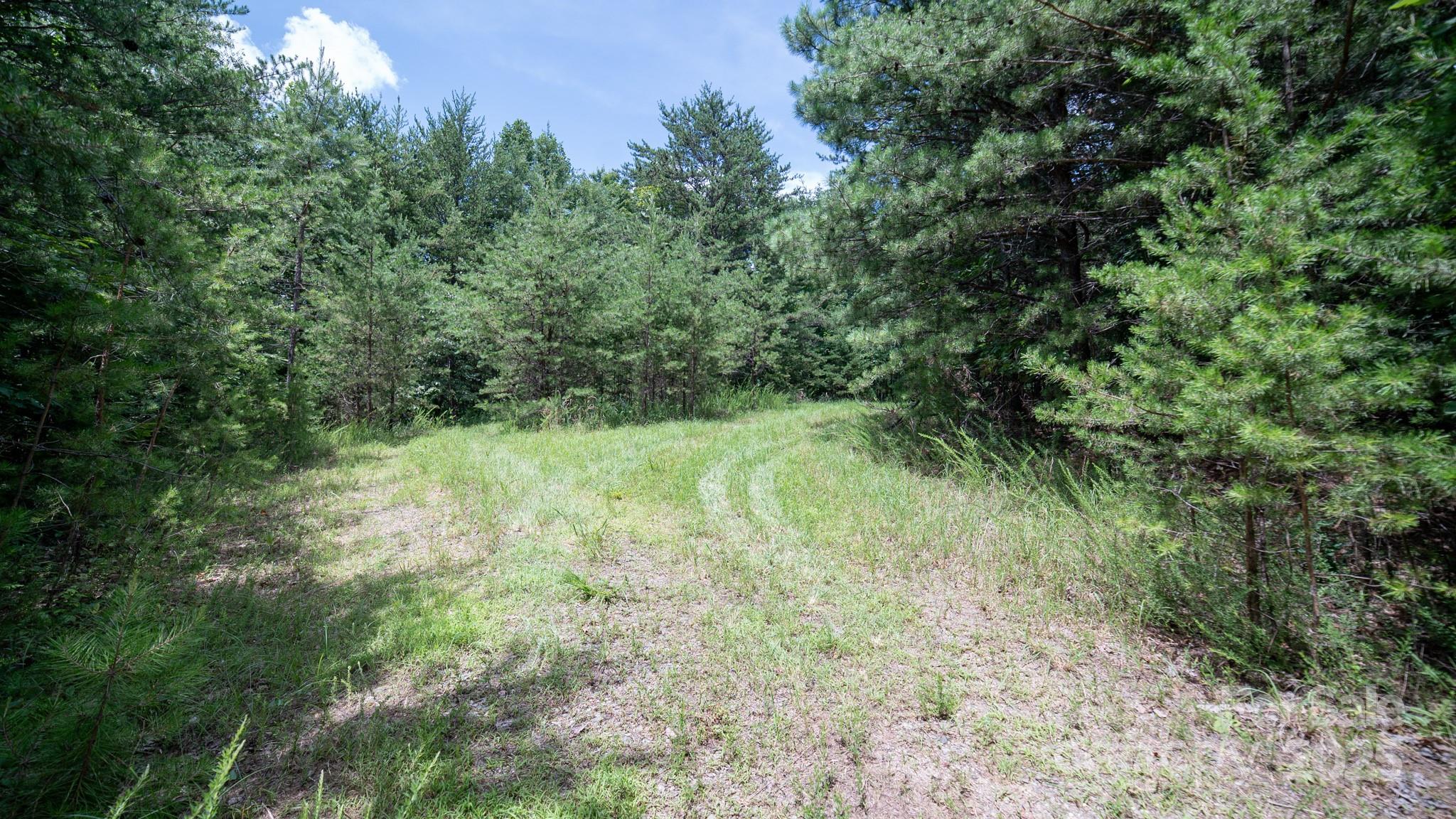 0 Dave Chester Road Lenoir, NC 28645 - Photo 4 of 12