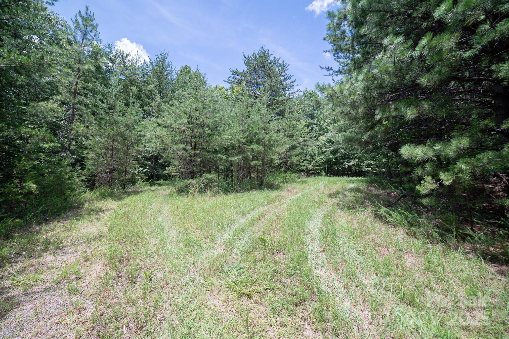 0 Dave Chester Road Lenoir, NC 28645 - Photo 5 of 12