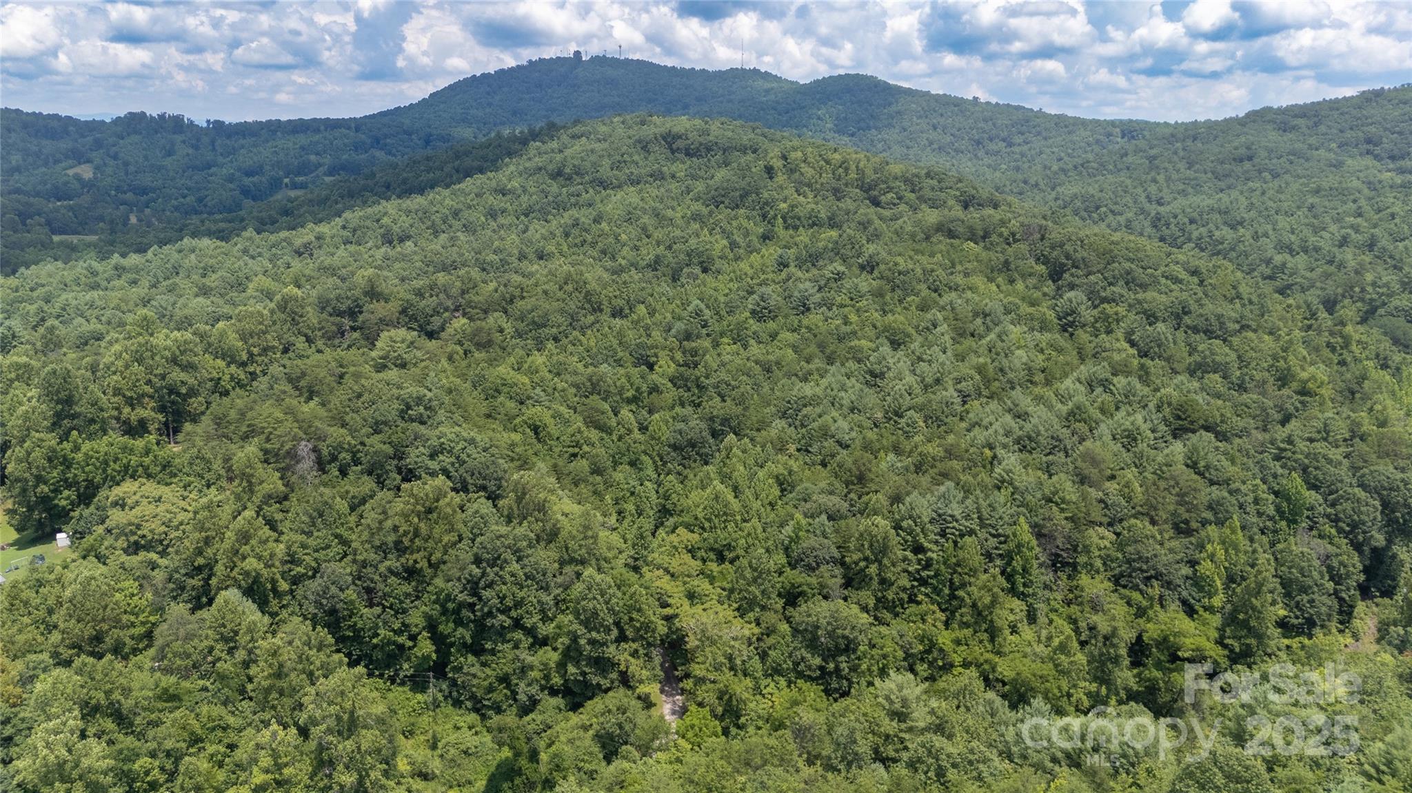 0 Dave Chester Road Lenoir, NC 28645 - Photo 8 of 12