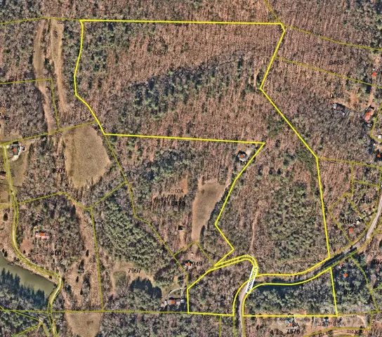 view of entryway with wooden floor