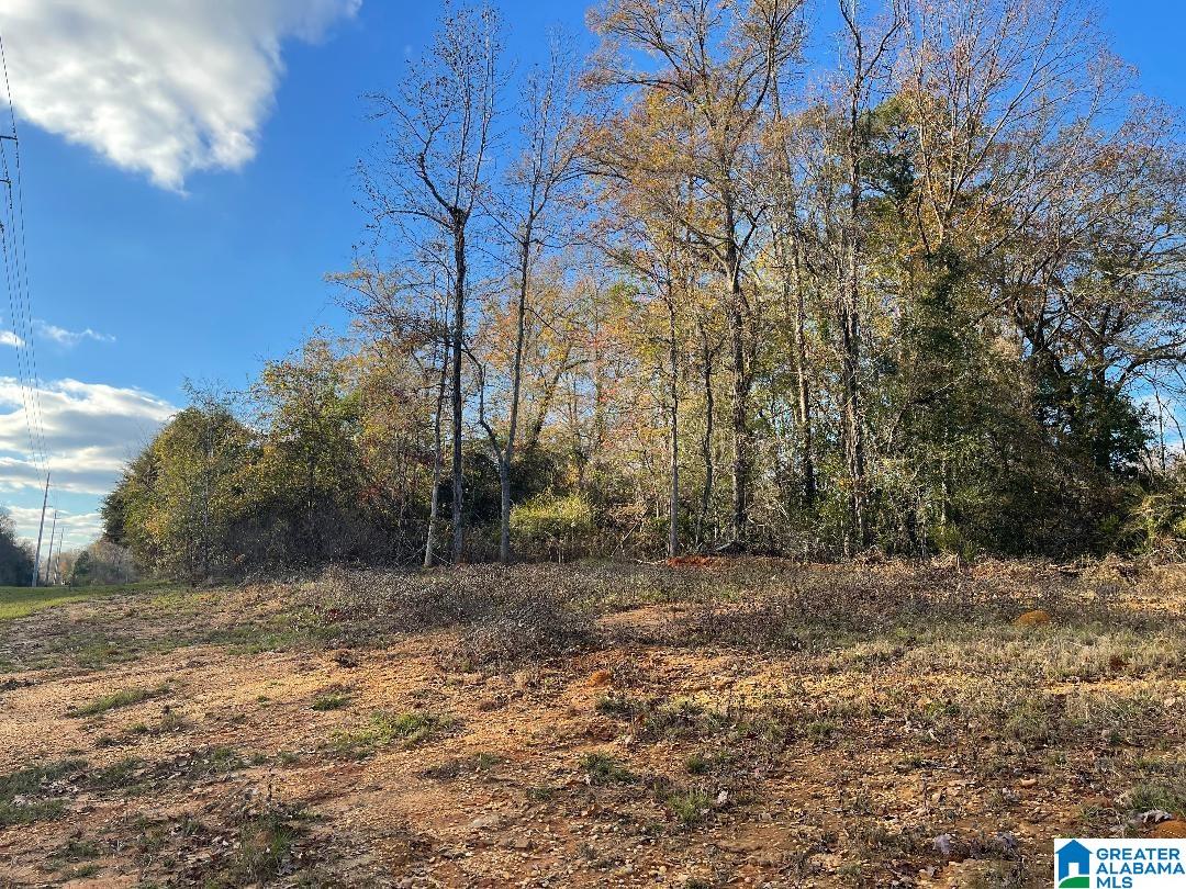 1935 Hargrove E Road Tuscaloosa, AL 35405 - Photo 3 of 24