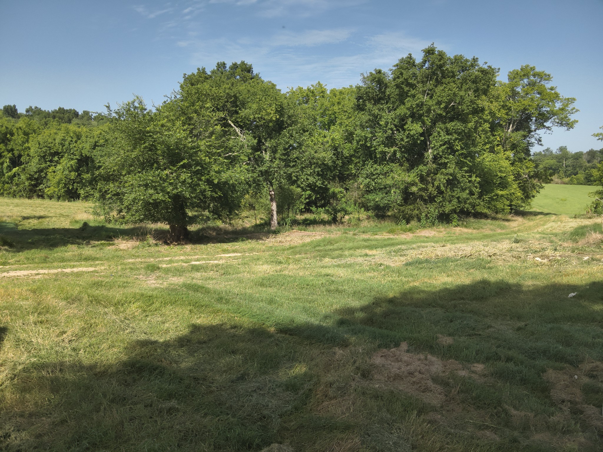 0 Culps Bend Road Clifton, TN 38425 - Photo 16 of 41
