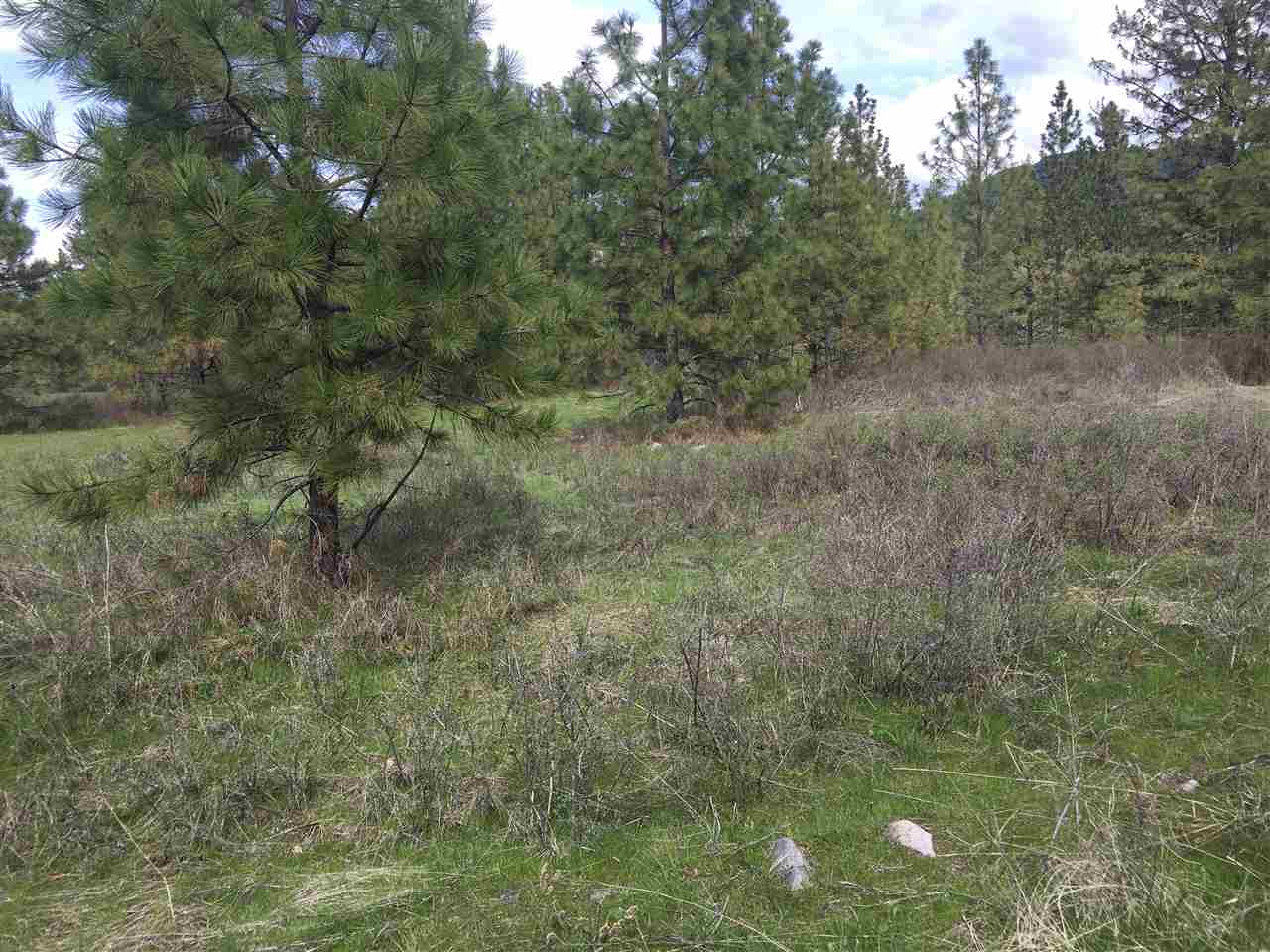 G-3 South Lantzy Road Hunters, WA 99137 - Photo 2 of 7 Gallery Image 2