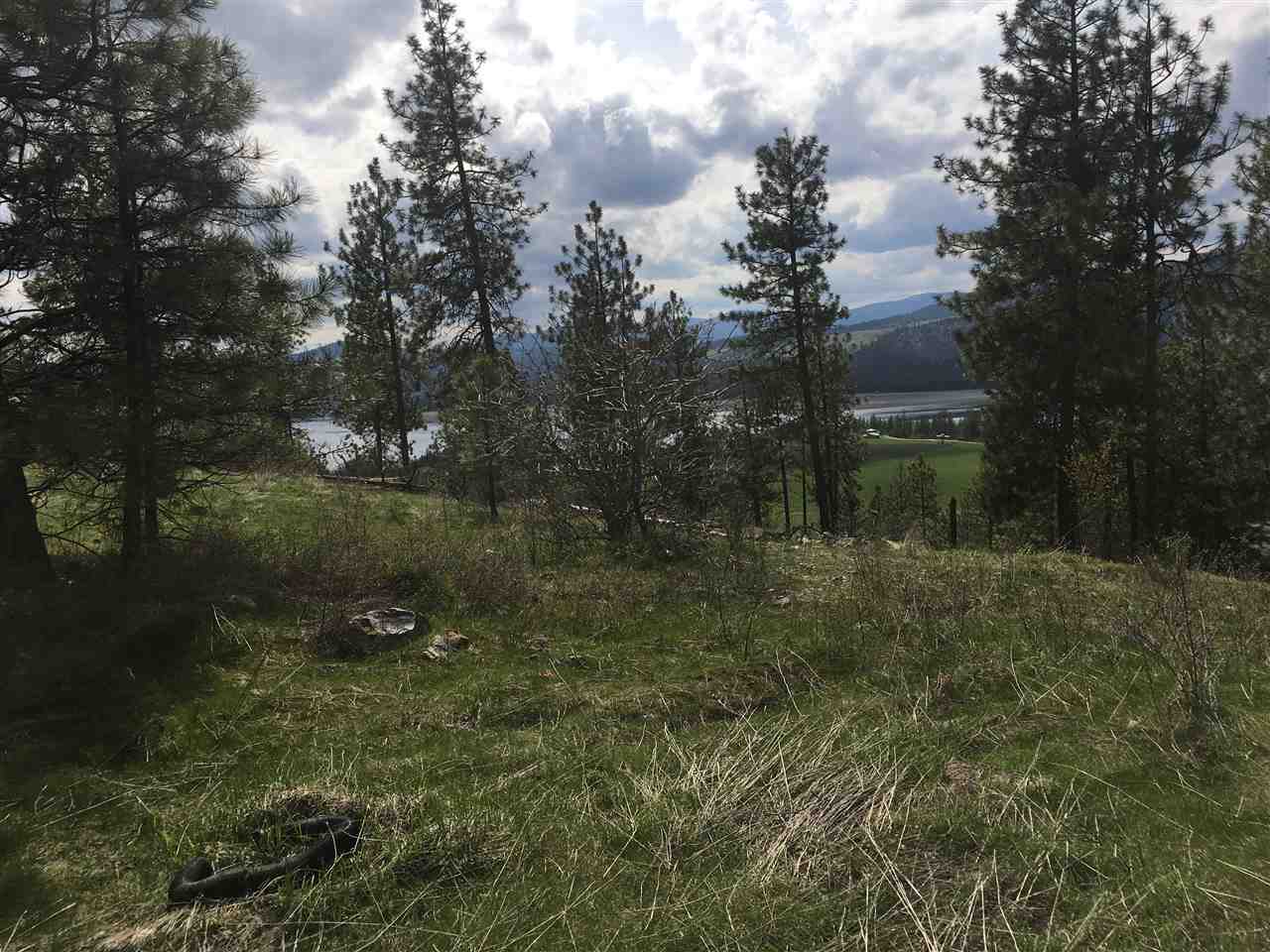 G-3 South Lantzy Road Hunters, WA 99137 - Photo 4 of 7 Gallery Image 4