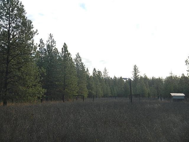 3111 East Oregon Road Elk, WA 99009 - Photo 3 of 10