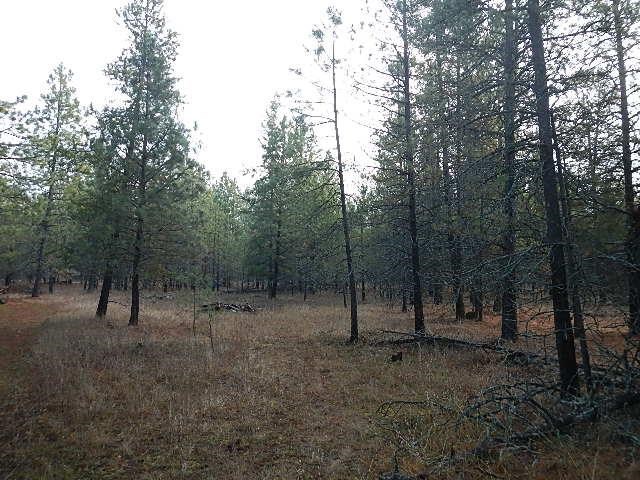 3111 East Oregon Road Elk, WA 99009 - Photo 8 of 10