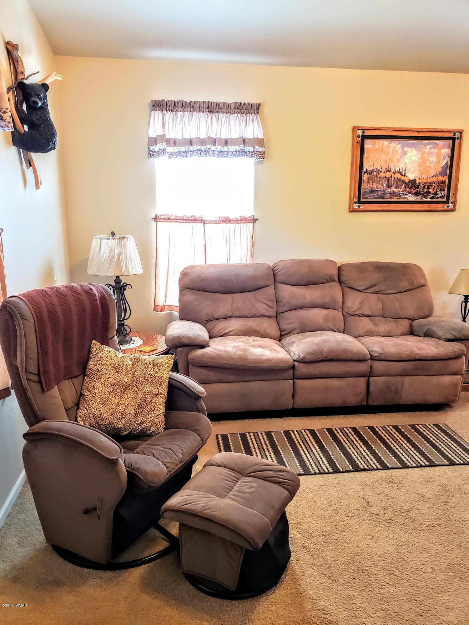 3117 Acr-lot 22 Road Show Low, AZ 85901 - Photo 20 of 22