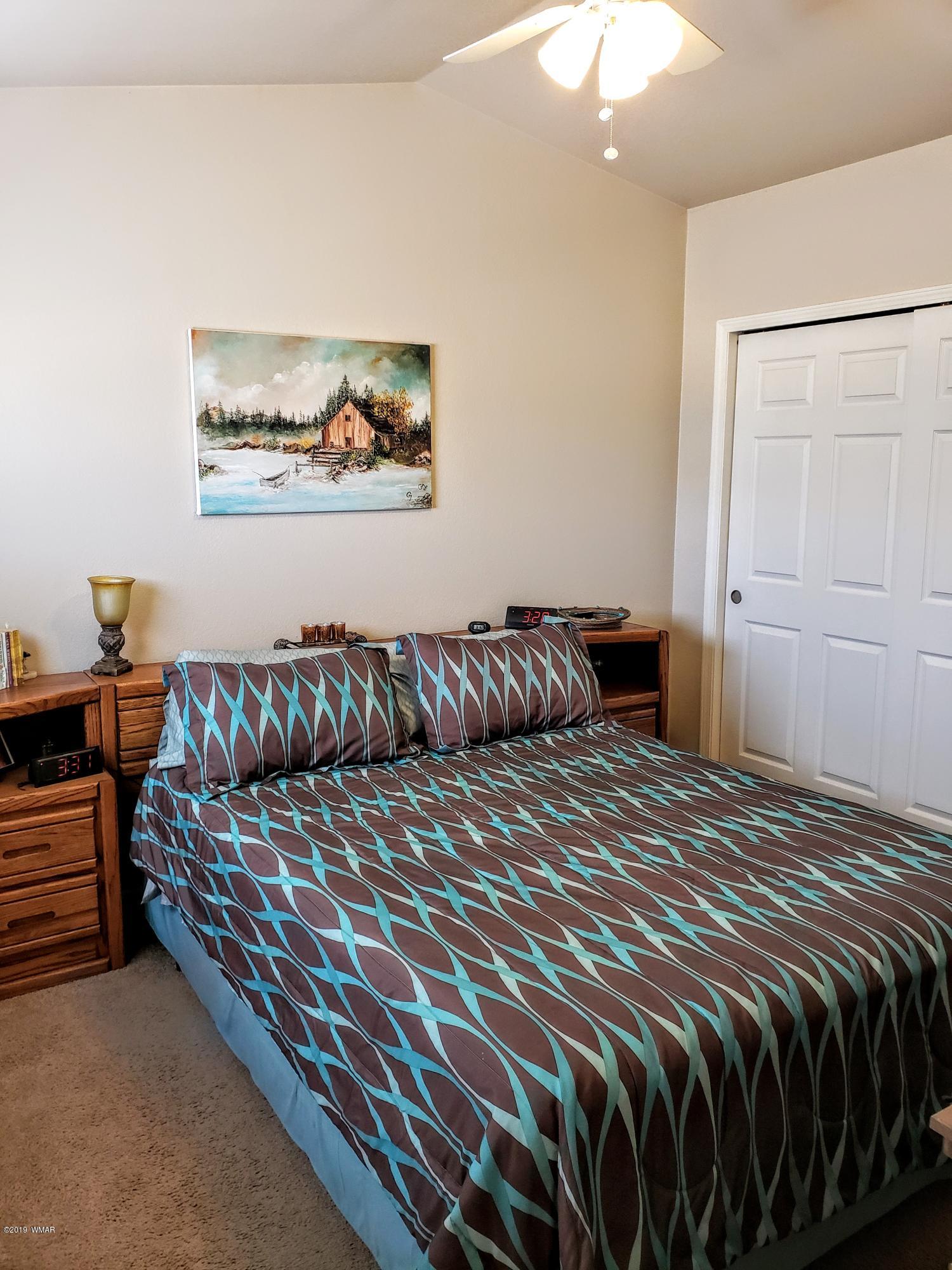 3117 Acr-lot 22 Road Show Low, AZ 85901 - Photo 6 of 22