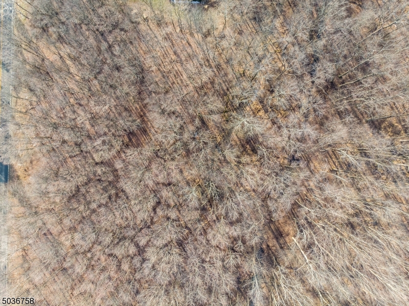 28 West Springtown Road Long Valley, NJ 07853 - Photo 6 of 8